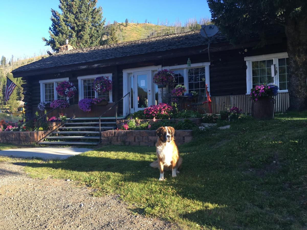 Antlers Lodge Cooke City Exteriör bild