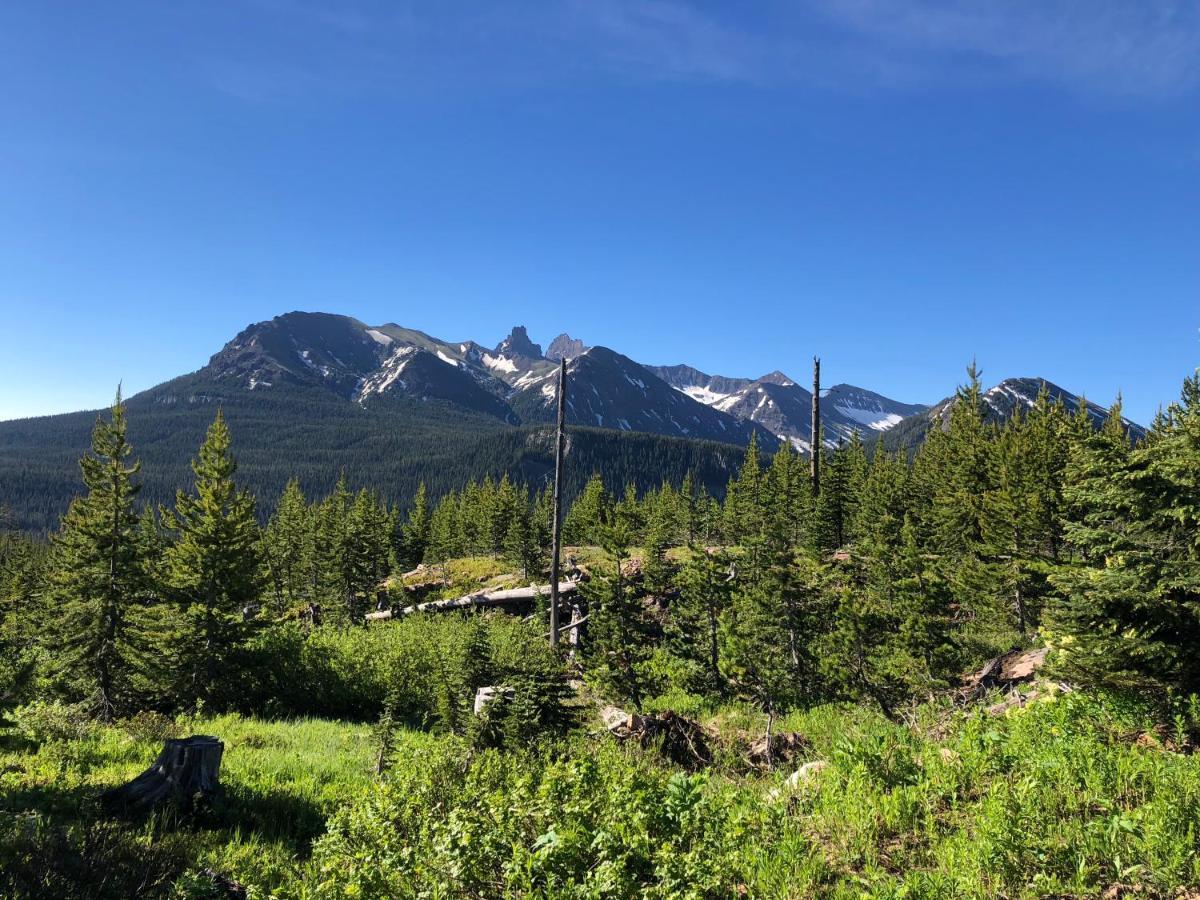 Antlers Lodge Cooke City Exteriör bild